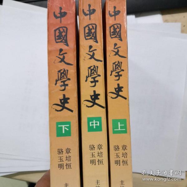 中国文学史（上中下）