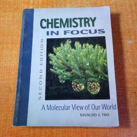 CHEMISTRY IN FOCUS