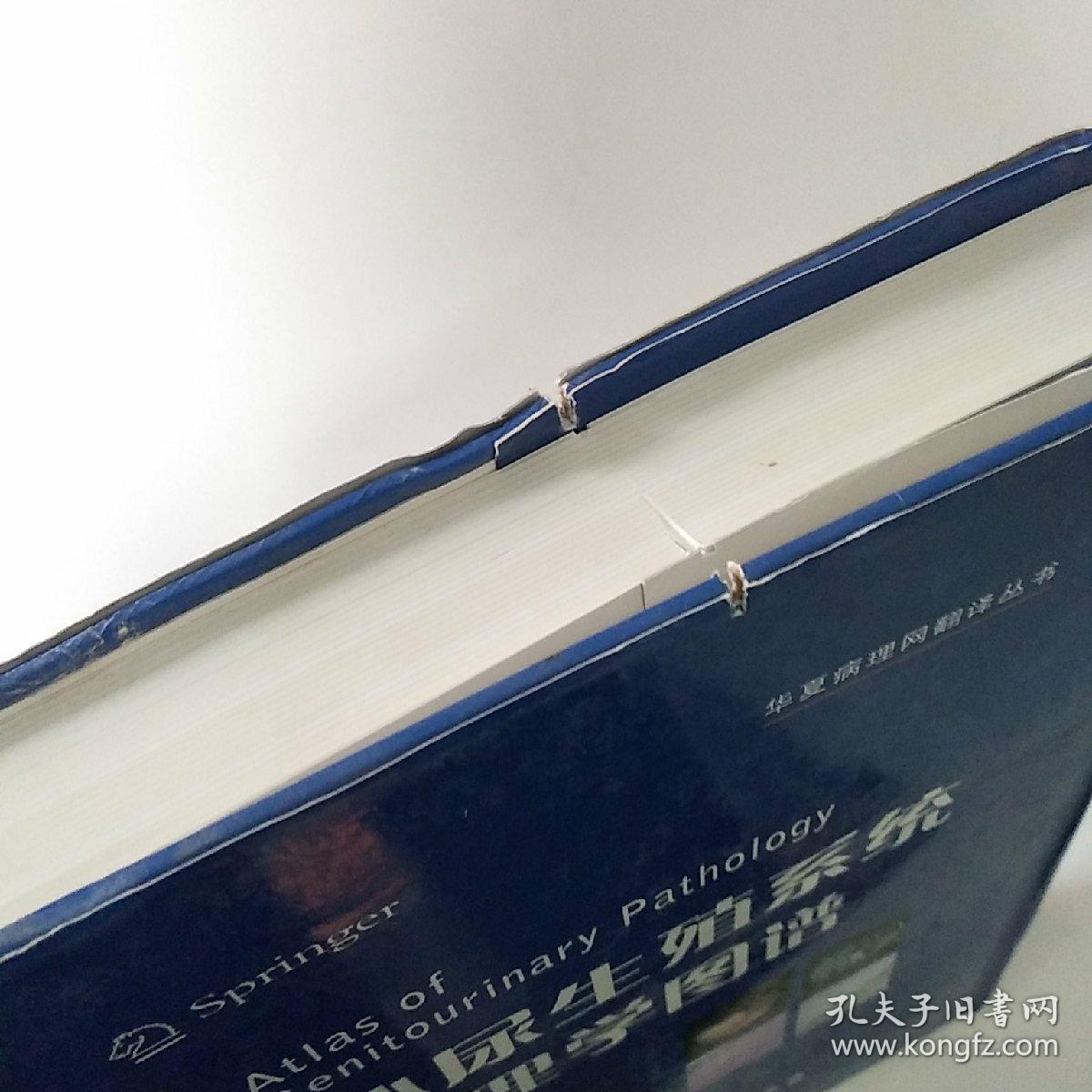 泌尿生殖系统病理学图谱