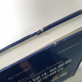 泌尿生殖系统病理学图谱