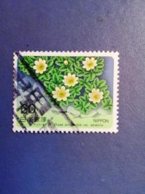 外国邮票   日本 邮票   花卉
 （信销票）