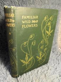 大量彩色插图《植物图鉴》第四卷 FAMILIAR WILD FLOWERS. FIGURED AND DESCRIBED BY F.EDWARD HULME,F.L.S F.S.A.  19.7X13.6CM