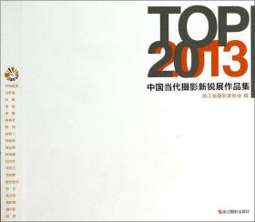 TOP20：2013中国当代摄影新锐展作品集