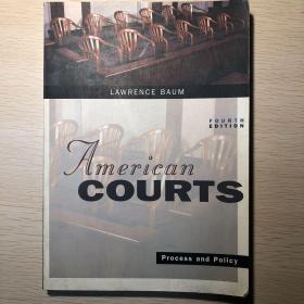 American courts～Process and Policy