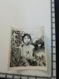 七八十年代  童年系列 老照片 1张 罂粟花