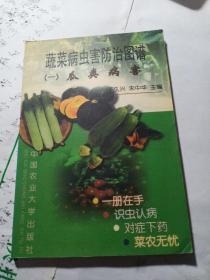 蔬菜病虫害防冶图谱一一(一)瓜类病害