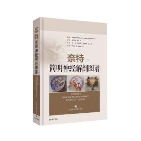 奈特简明神经解剖图谱 神经解剖图谱 Michael Rubin Joseph E Safdieh 著作 9787547844281 上海科学技术出版社