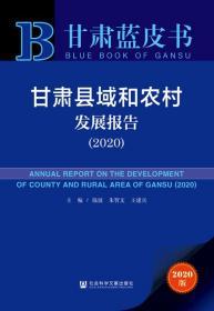 甘肃县域和农村发展报告 （2020）         甘肃蓝皮书         王建兵 朱智文 陈波 主编