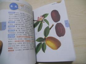 常用中草药彩色图集（第二版）、常用中药彩色图集（超值版）、常用青草药彩色图集（第二版）  三本合售