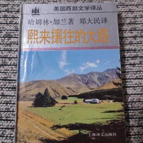 熙来攘往的大路