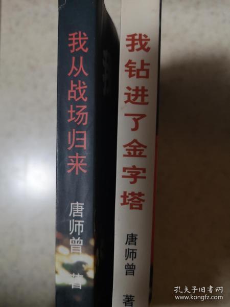 我钻进了金字塔