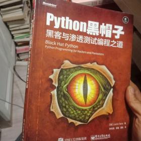 python黑帽子：黑客与渗透测试编程之道