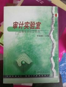 审计实验室——主要会计事项的相关法规及其审计案例（小16开B）