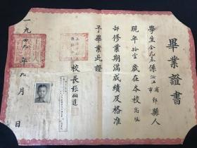 【教育文献，毕业证书】1949年，徐家汇，上海私立汇师小学，金光基毕业证书，浙江鄞县人，校长 张伯达