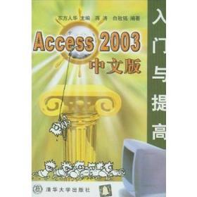 ACCESS2003中文版入门与提高