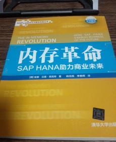 内存革命: SAP HANA助力商业未来/SAP企业信息化与最佳实践丛书