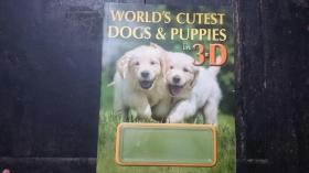 WORLD'S CUTEST DOGS & PUPPLES