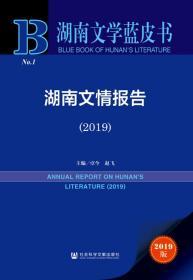 湖南文情报告（2019）        湖南文学蓝皮书        赵飞 卓今 主编