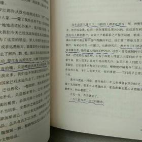 马桥词典  北京十月文艺【内页字迹   不影响阅读】现货