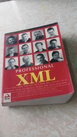 PROFESSIONAL XML