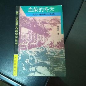 血染的冬天：斯大林格勒大会战