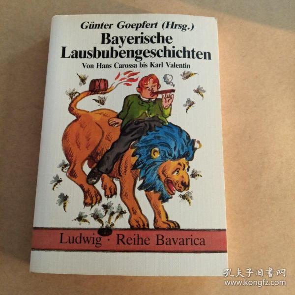 BAYERISCHE LAUSBUBENGESCHICHTEN：von hans carossa bis karl valentin（德语原版，巴伐利亚杰出故事）