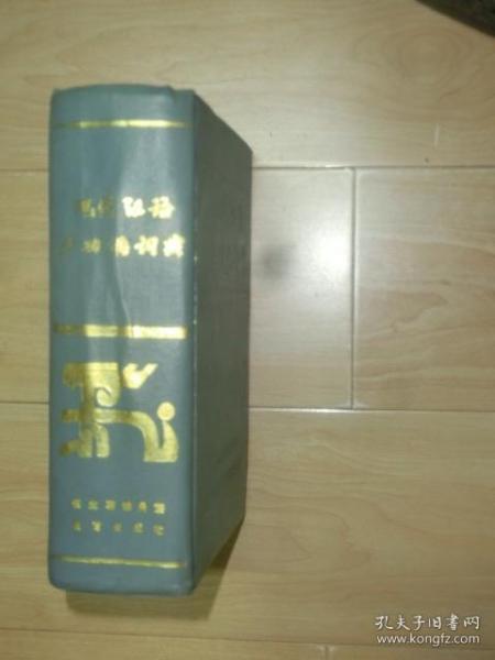 现代汉语多功能词典 （精装）