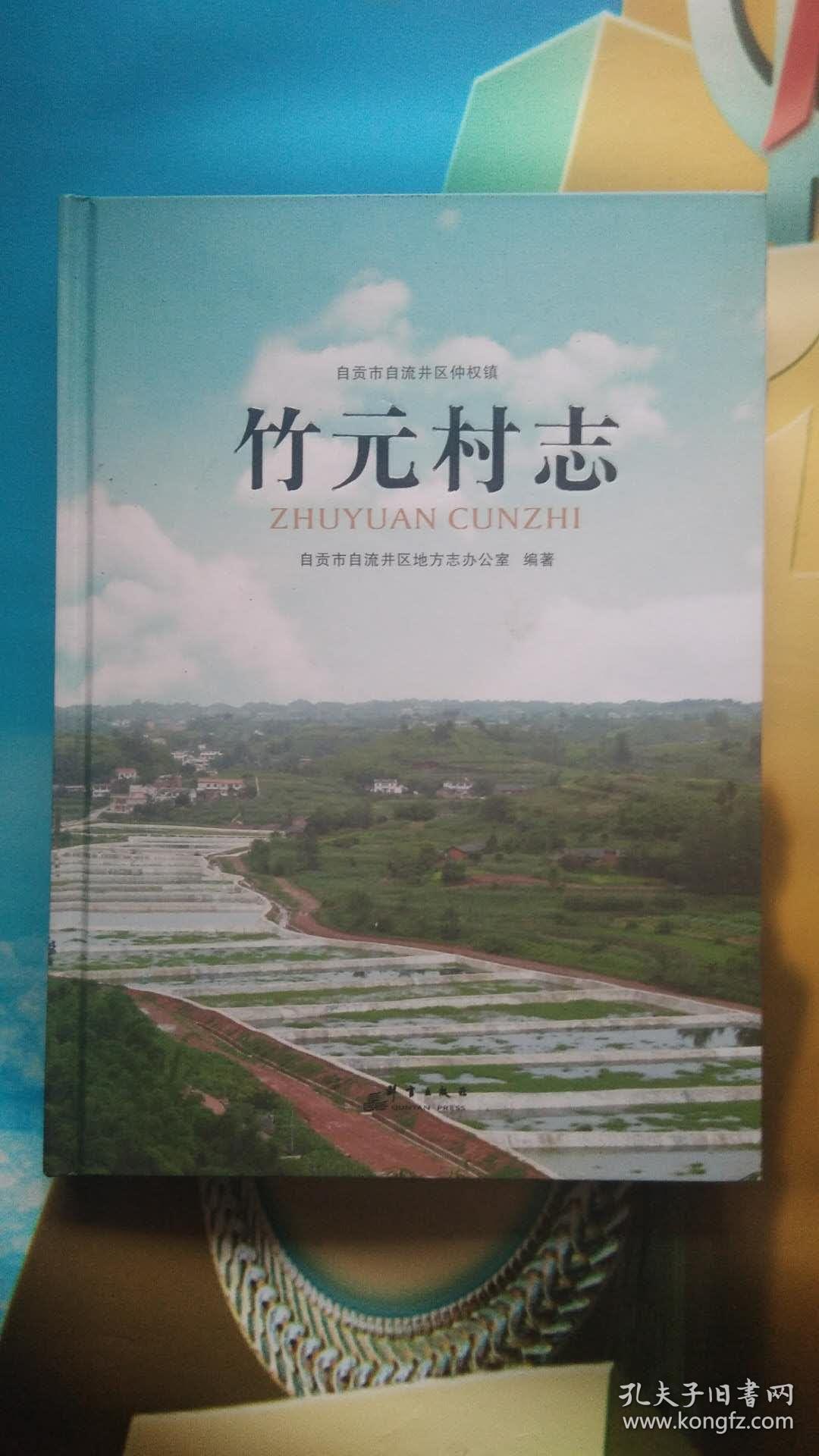 竹园村志（自贡市自流井仲权镇）