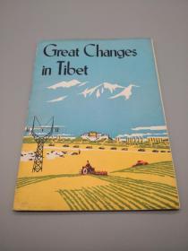 【外文类】Great Changes in Tibet 西藏巨变