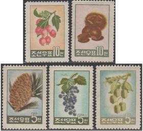 外国邮票ZC，朝鲜1960年水果，猕猴桃、葡萄、板栗山楂松果，5全