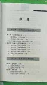 色情文化批判