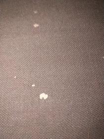 中国工艺美术，1959