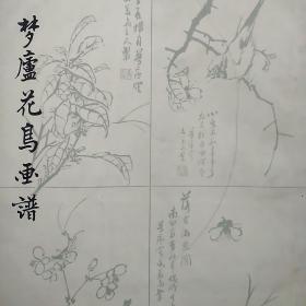 梦庐花鸟画谱(馆藏书籍)