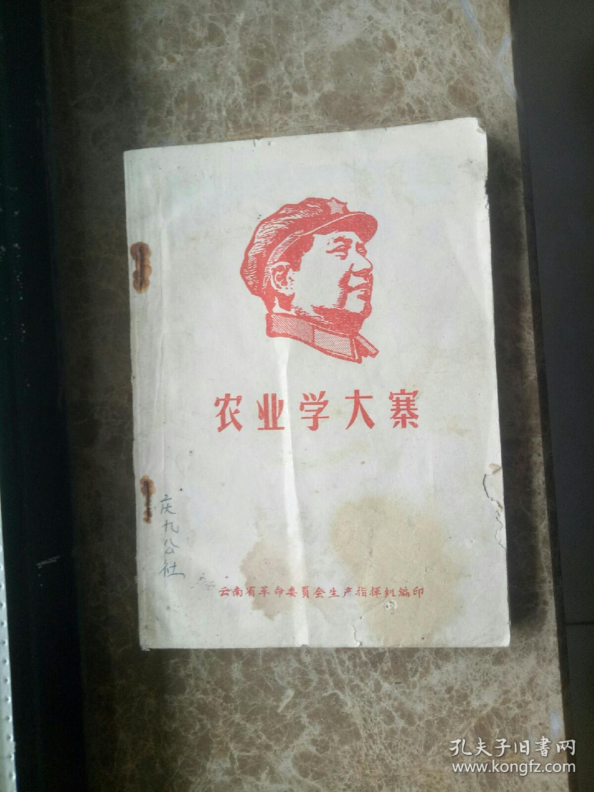 《农业学大寨》