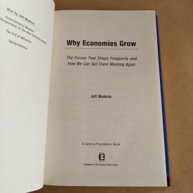 Why Economies Grow（英文 原版）