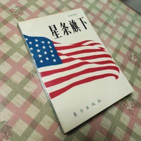 星条旗下:一个中国人眼中的美国