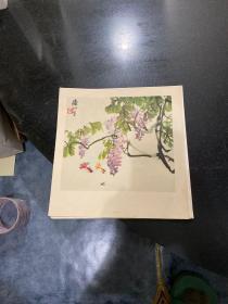 陈秋草花卉小景画选 12开12张全缺封套