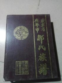 1996年广东《兴宁市邹 氏族谱
》