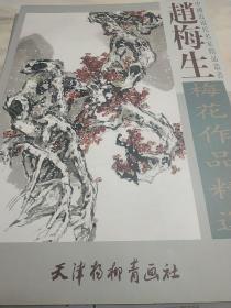 赵梅生梅花作品精选 中国近现代名家精品丛书 天津杨柳青画社 库存书z