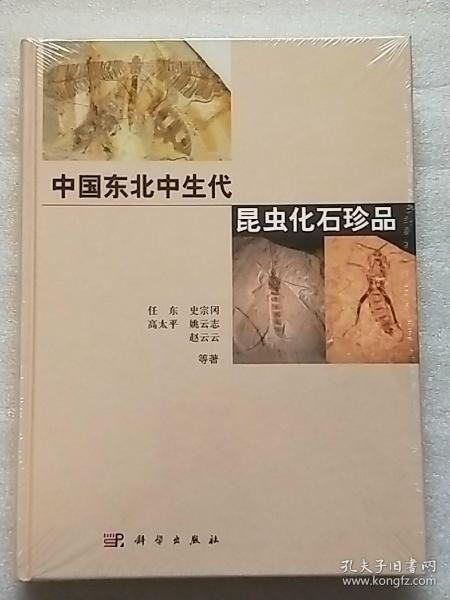 中国东北中生代昆虫化石珍品