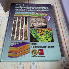 《Giant Hydrocarbon Reservoirs of the World  From Rocks to Reservoir Characterization and Modeling》