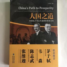 大国之道——中国私人与公共选择的宪则分析（张维迎、陈志武、韦森、茅于轼  联袂推荐）