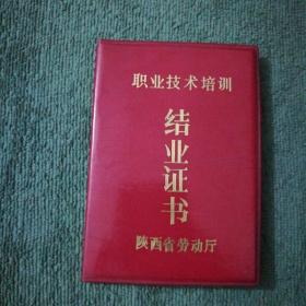 90年代陕西职业技术培训结业证书（汽车驾驶）