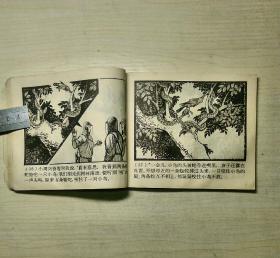 蛇岛的秘密