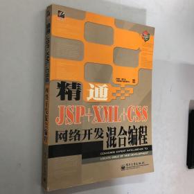 网站开发专家：精通JSP+XML+CSS网络开发混合编程