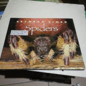 SPIders  看图