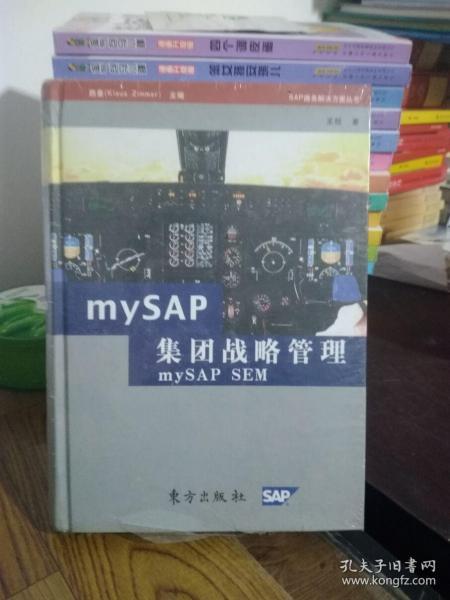 mySAP集团战略管理