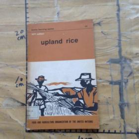 UPLAND RICE