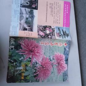 中国花卉盆景  1985  10