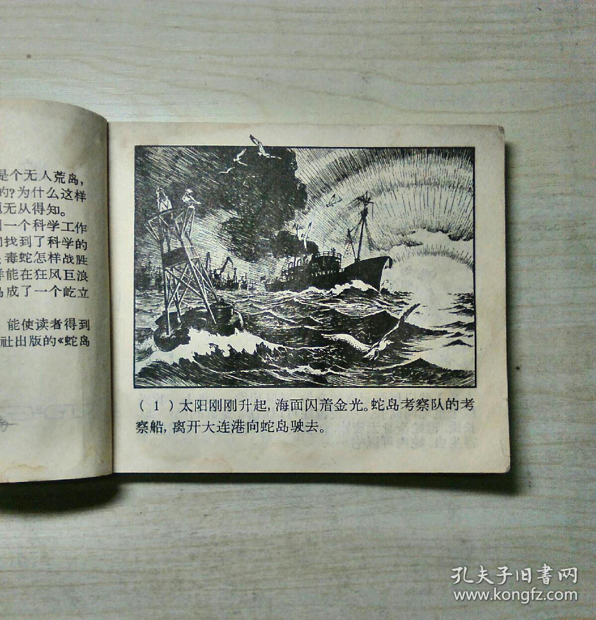 蛇岛的秘密